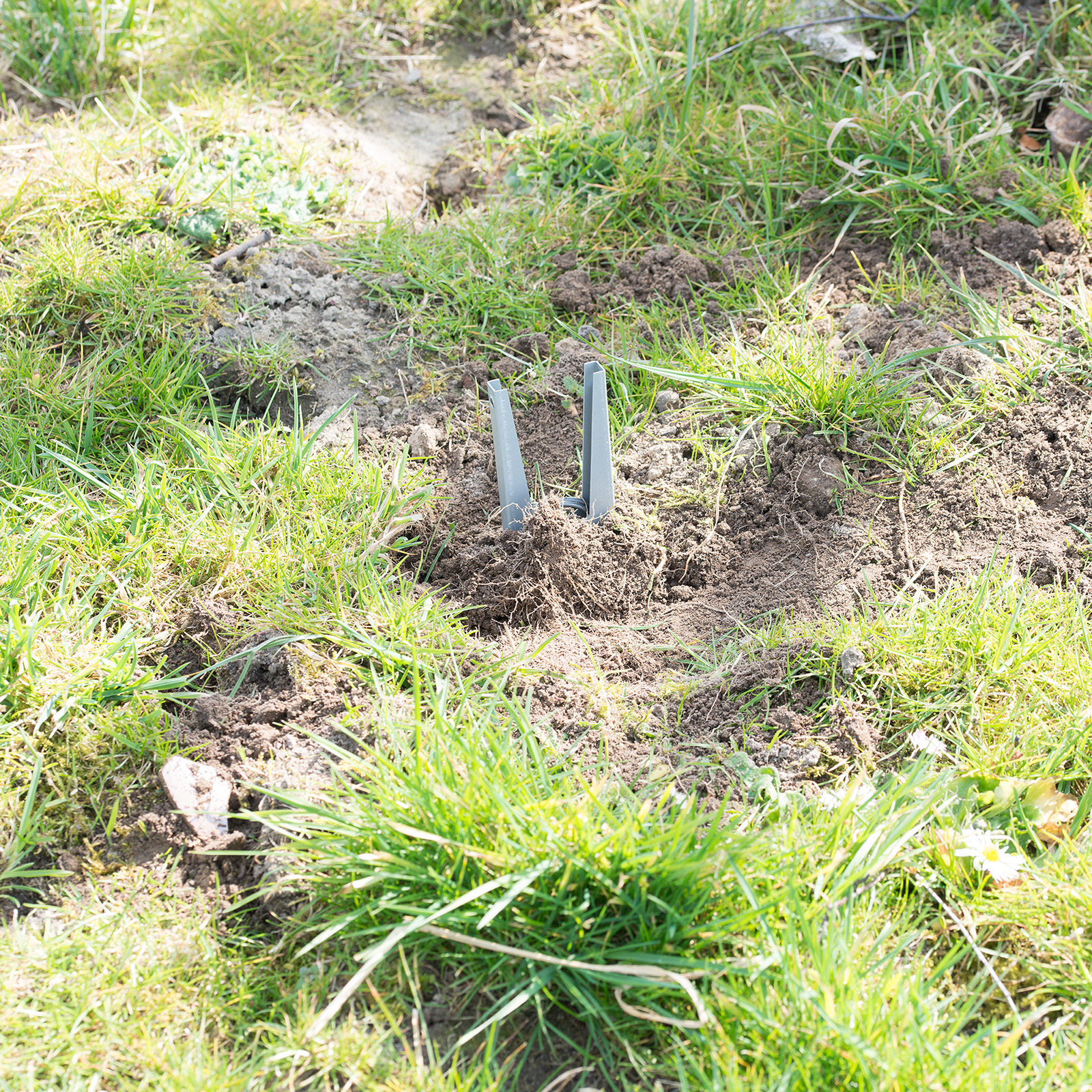 Vole Trap | claw trap against field mice