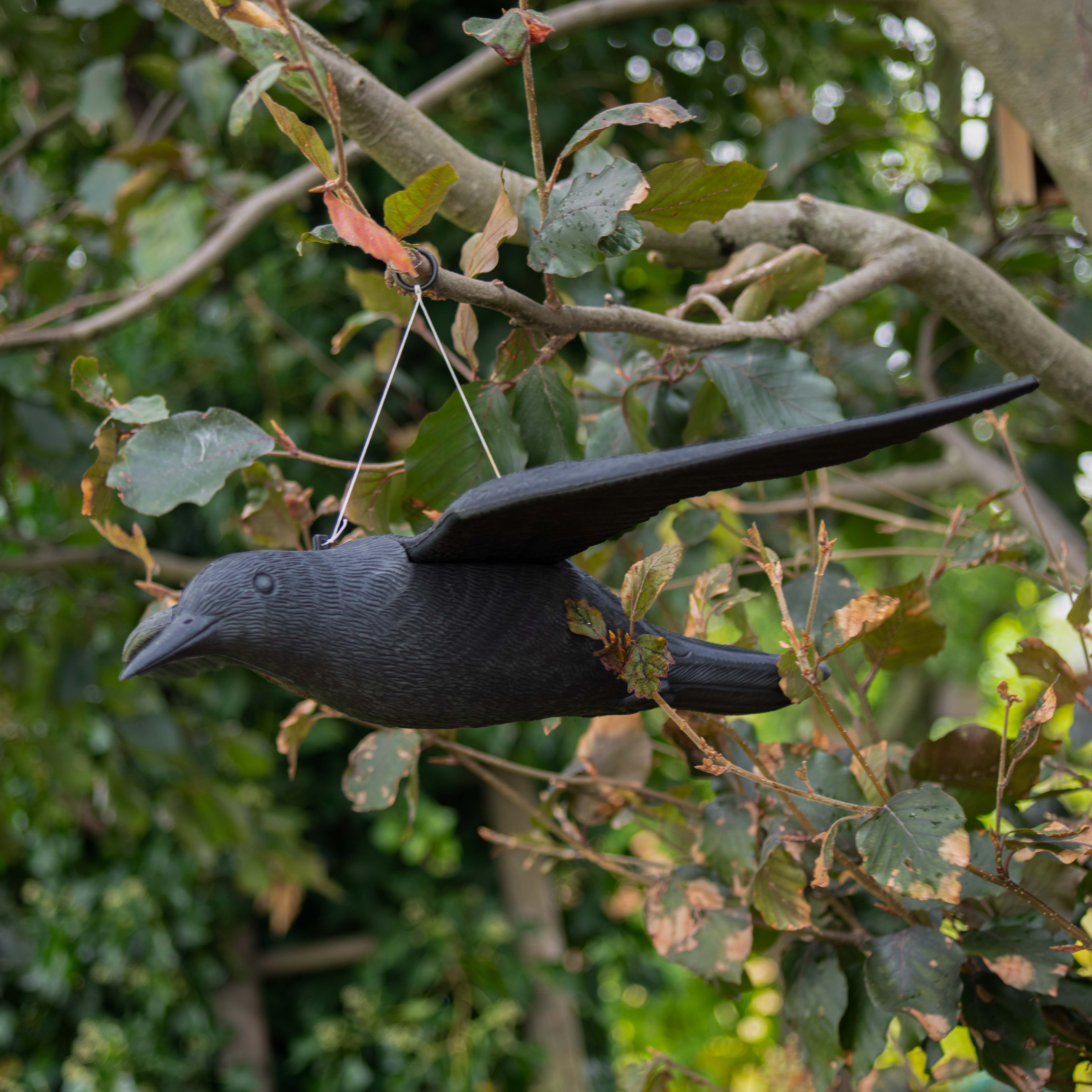 Bird Deterrent Falcon | dummy bird of prey | decoy against smaller birds