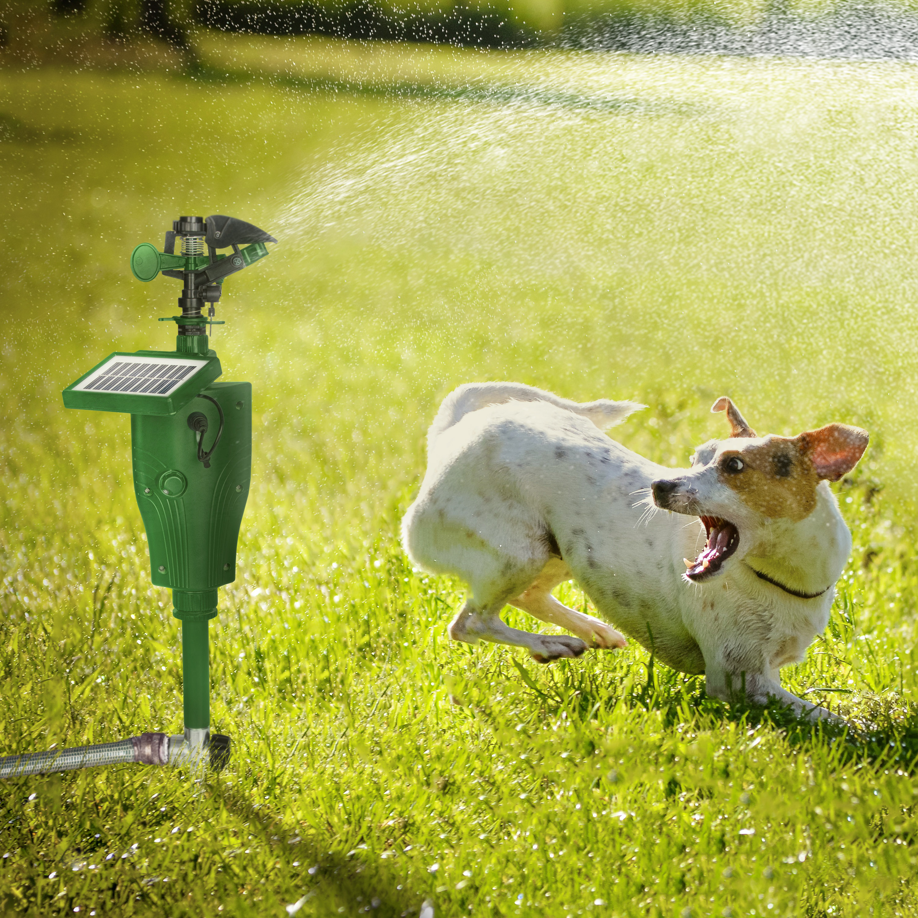 Solar Water Jet Animal Repellent