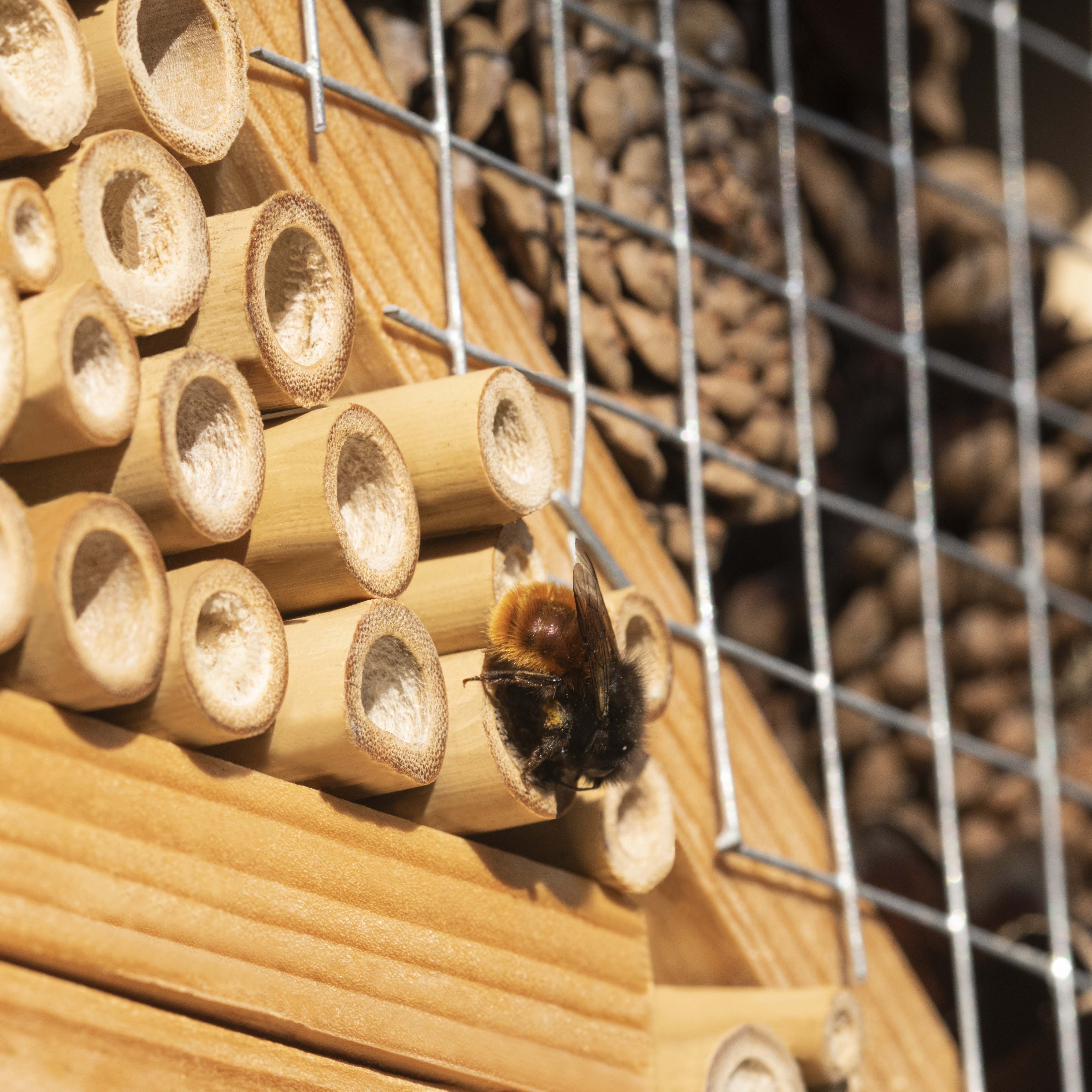 Insect Hotel XXXL | Made in Germany | nesting aid for solitary bees 