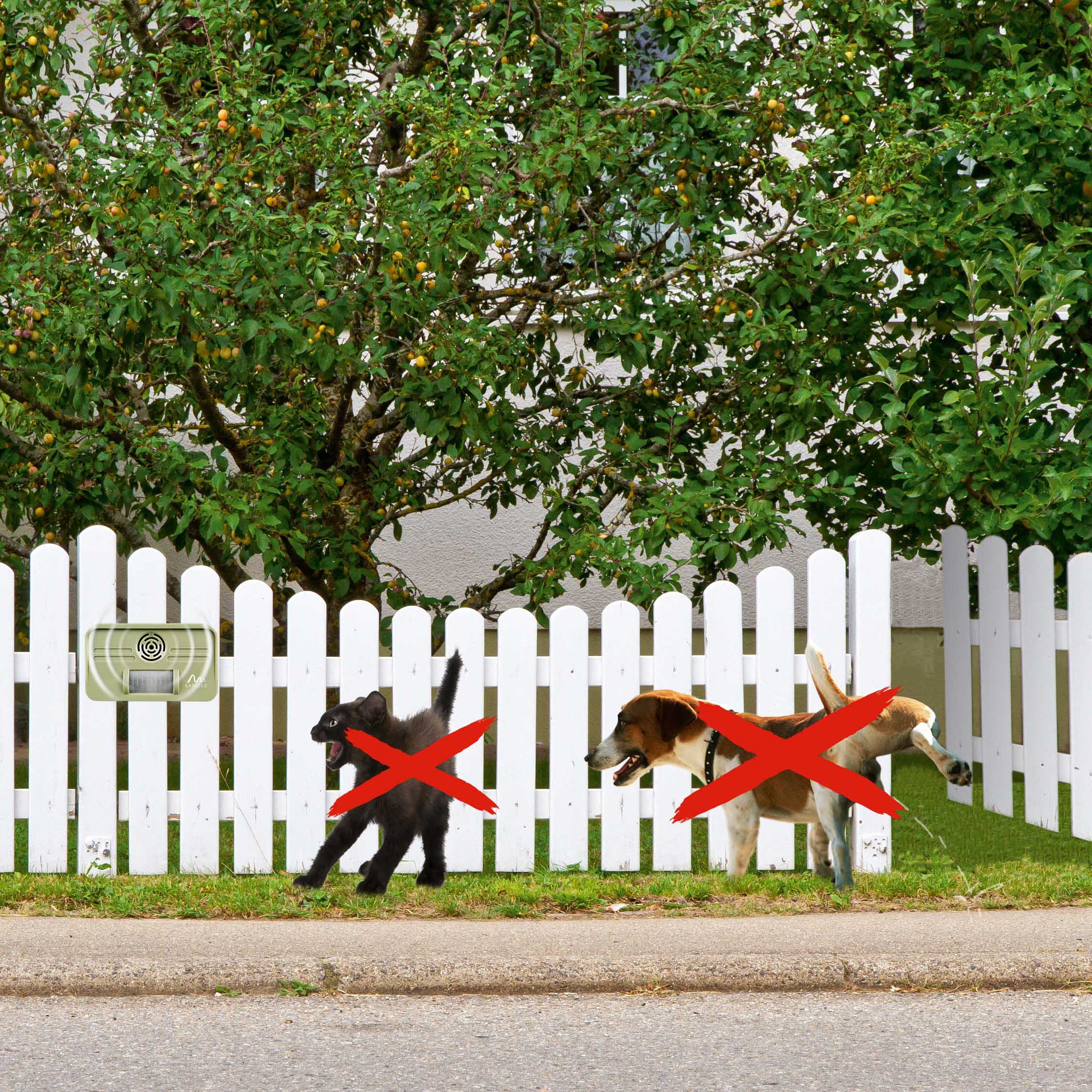 The motion detector recognizes the animal and releases the ultrasonic tone immediately. 