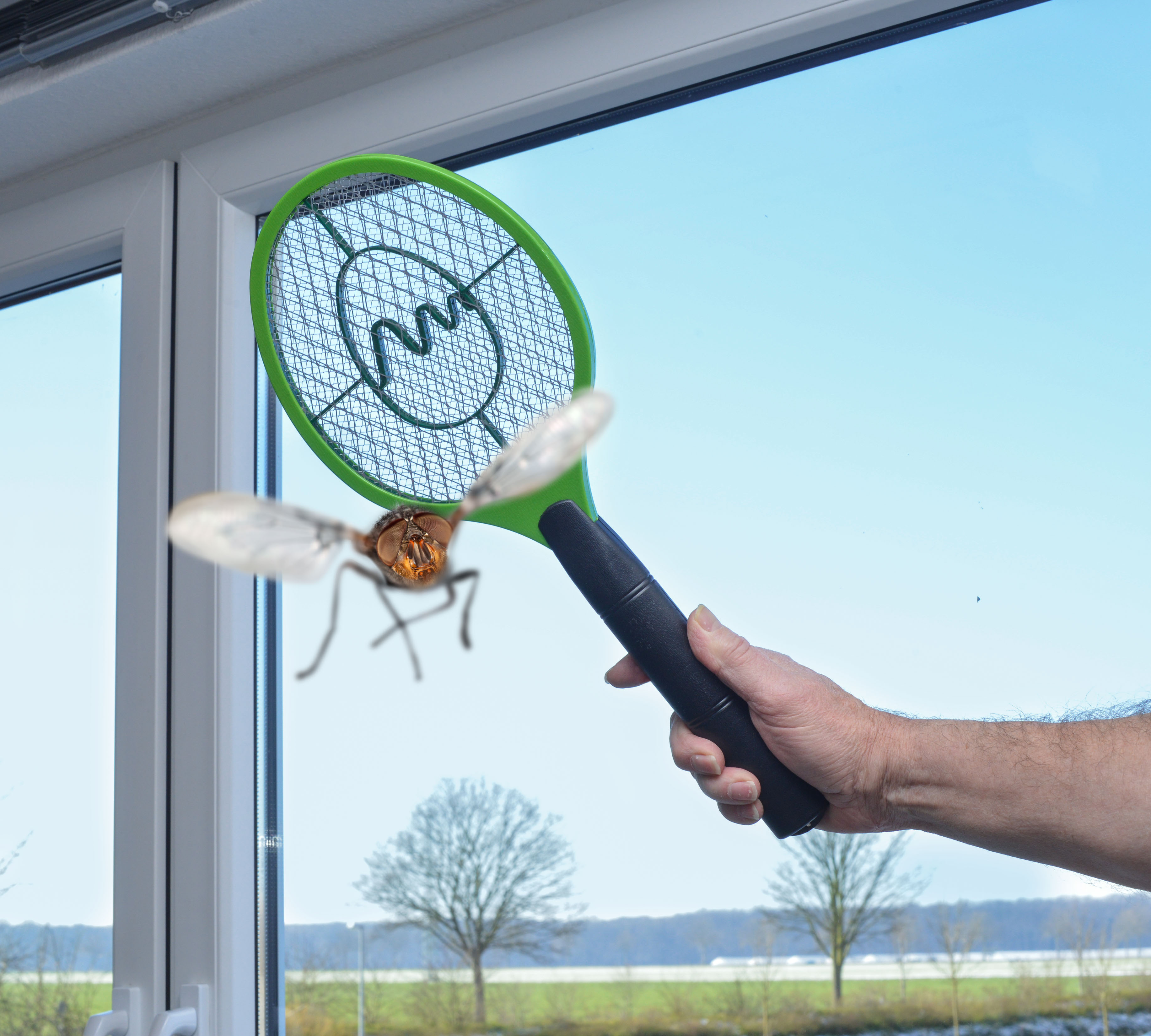 Electronic Fly Swatter