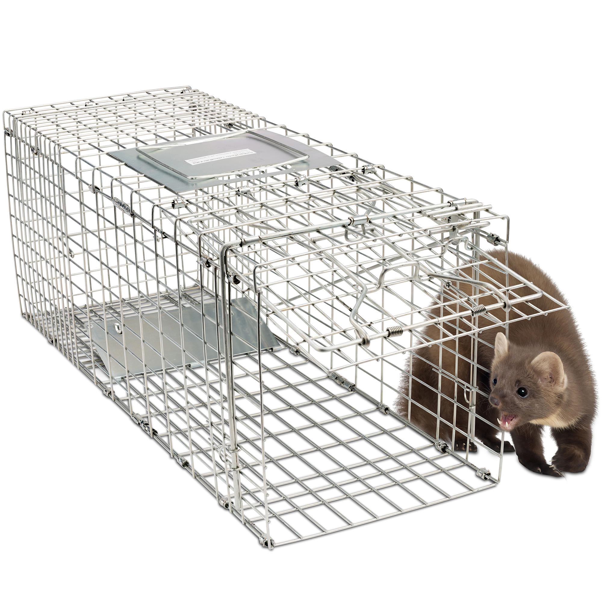 Marten Live Trap