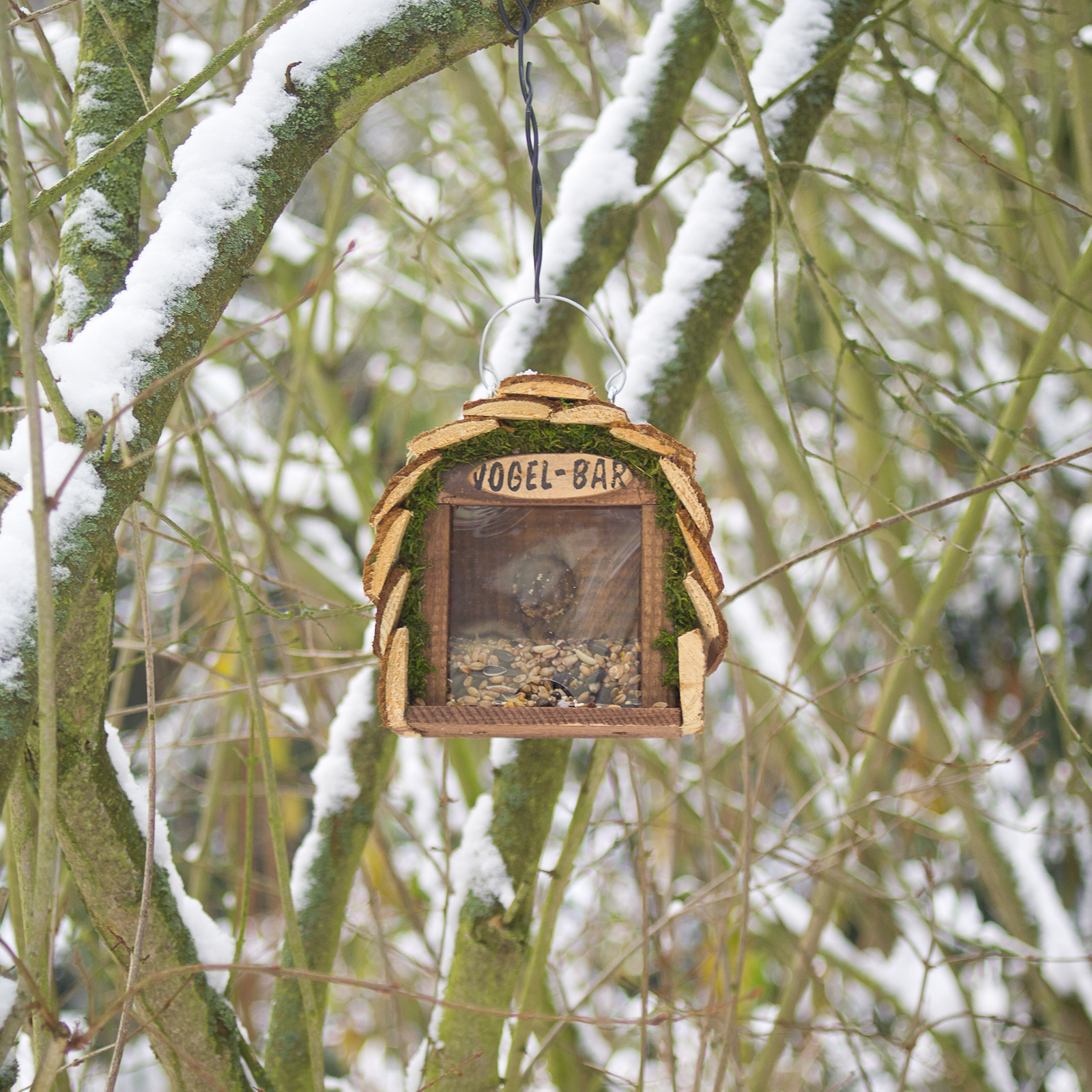 Bird Bar | feeder