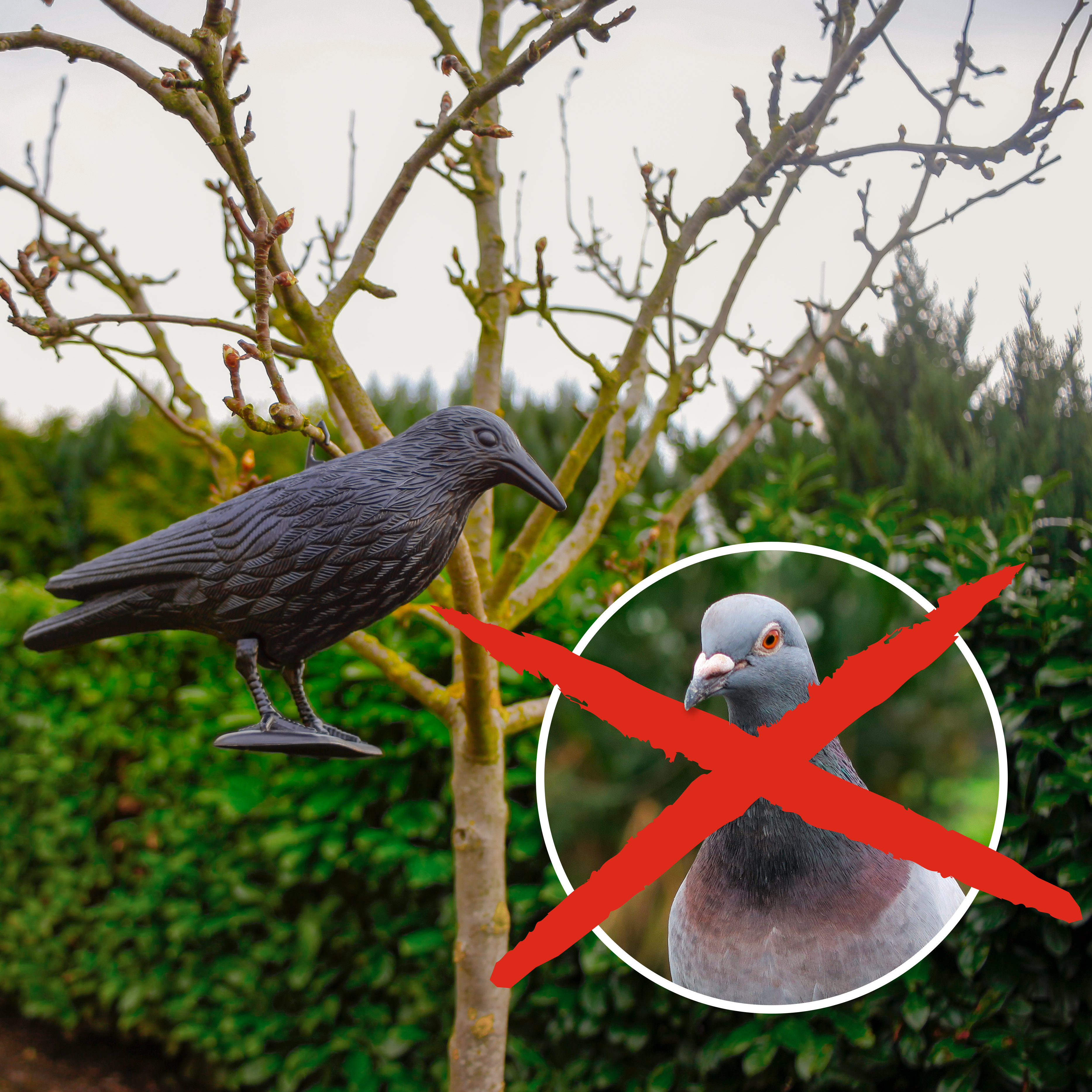 Pigeon repellent scarecrow