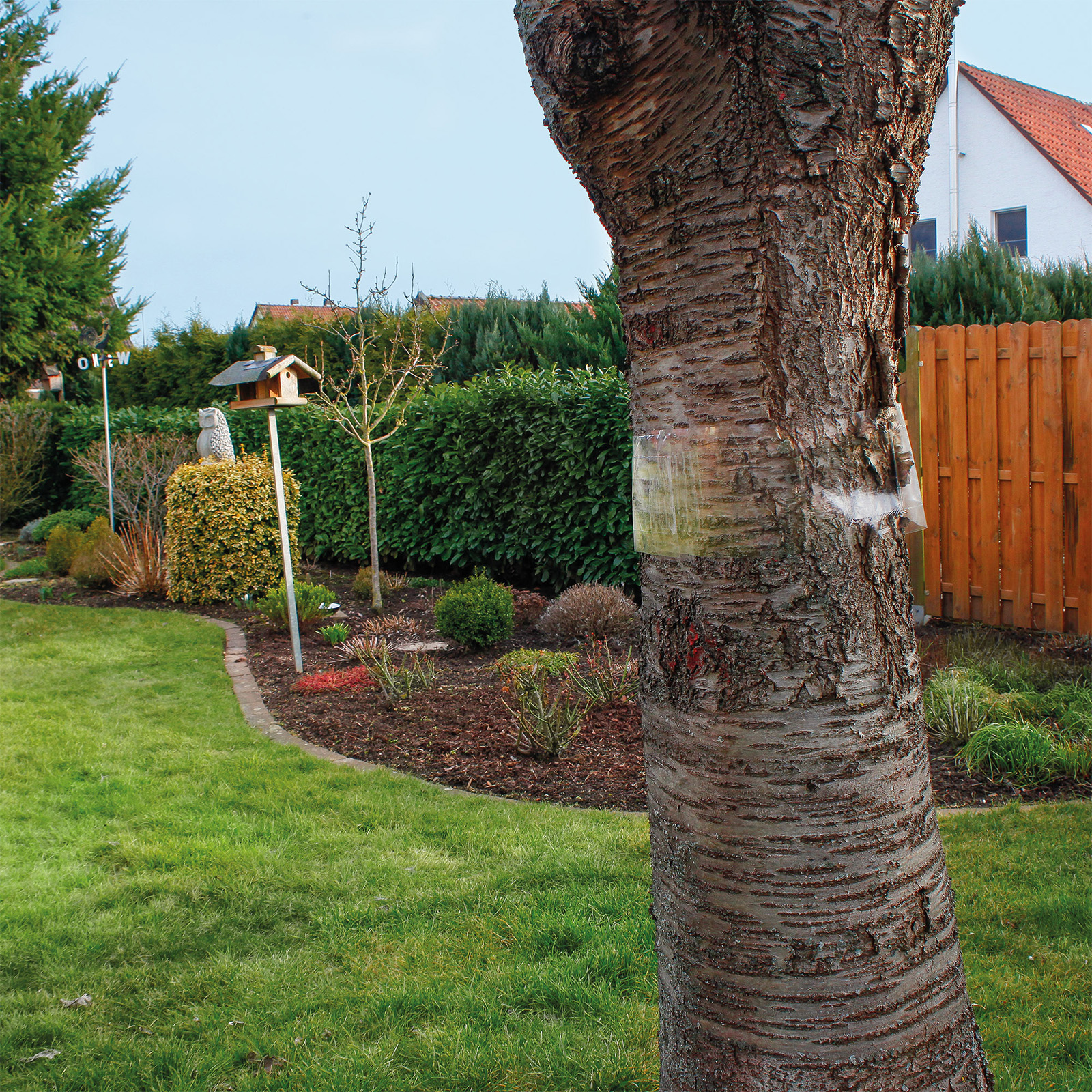 Da der Ring durchsichtig ist fällt er im Garten auch gar nicht weiter auf. 