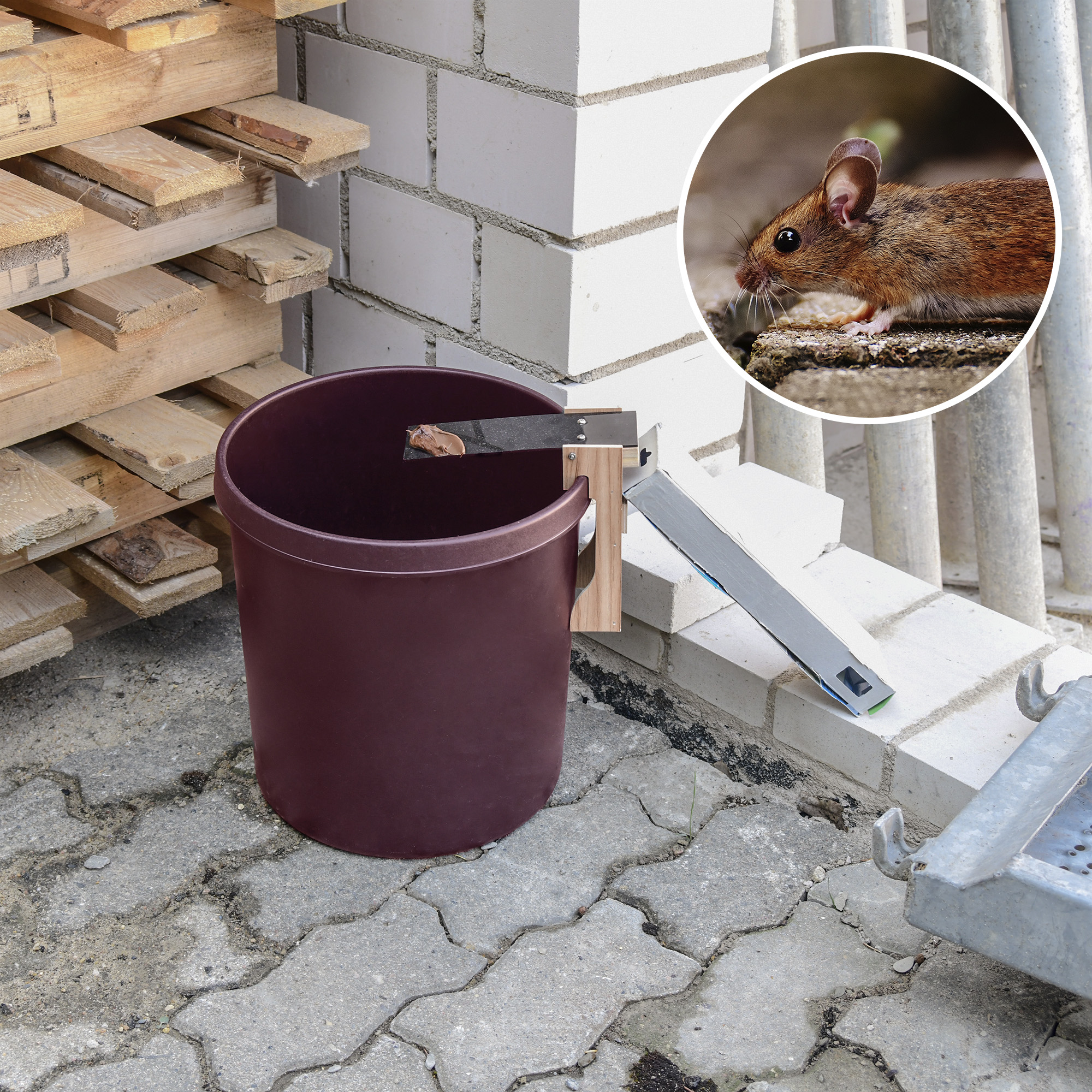 GARDIGO mouse-plank-trap for buckets