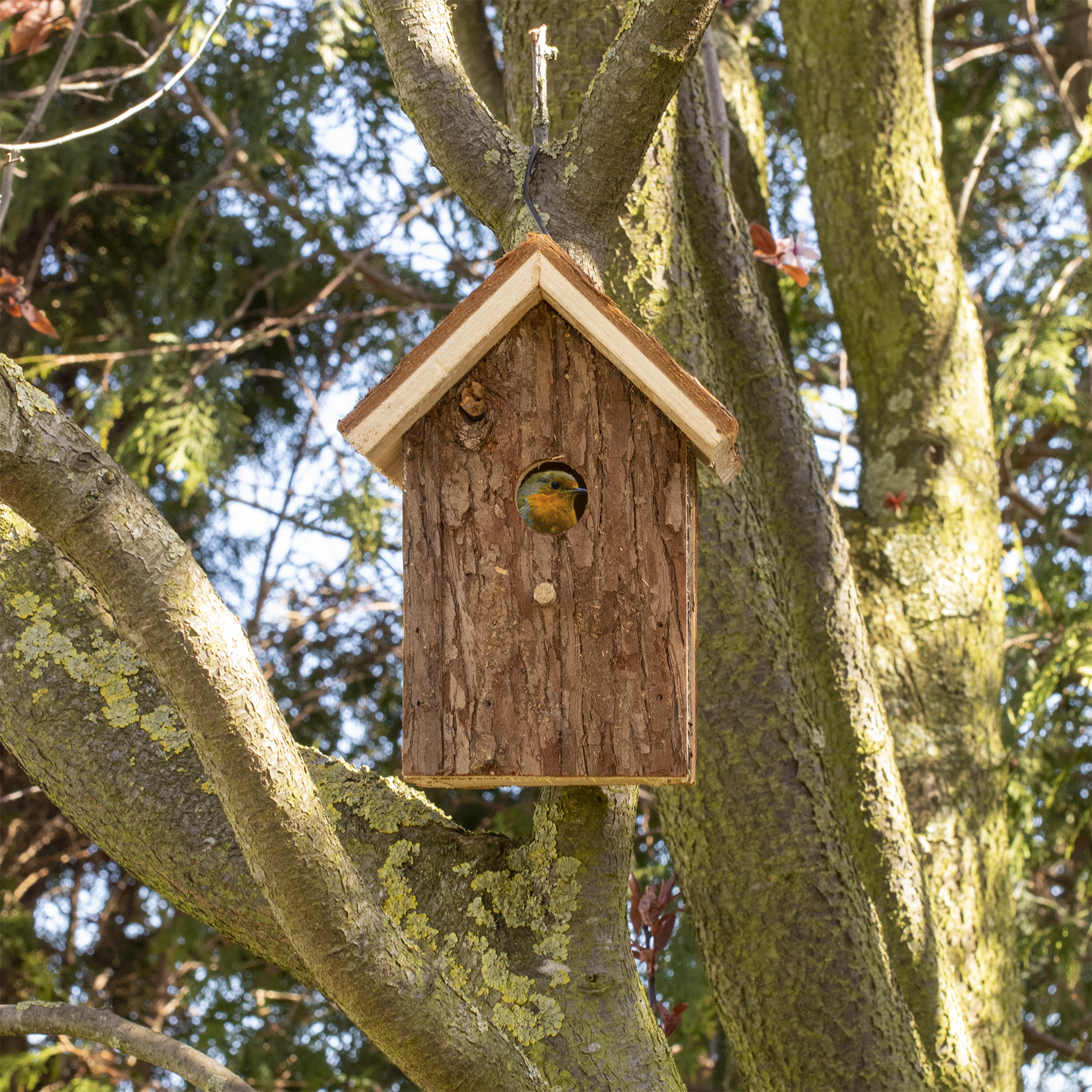 Bird Nesting House “Nature” | wooden nesting box