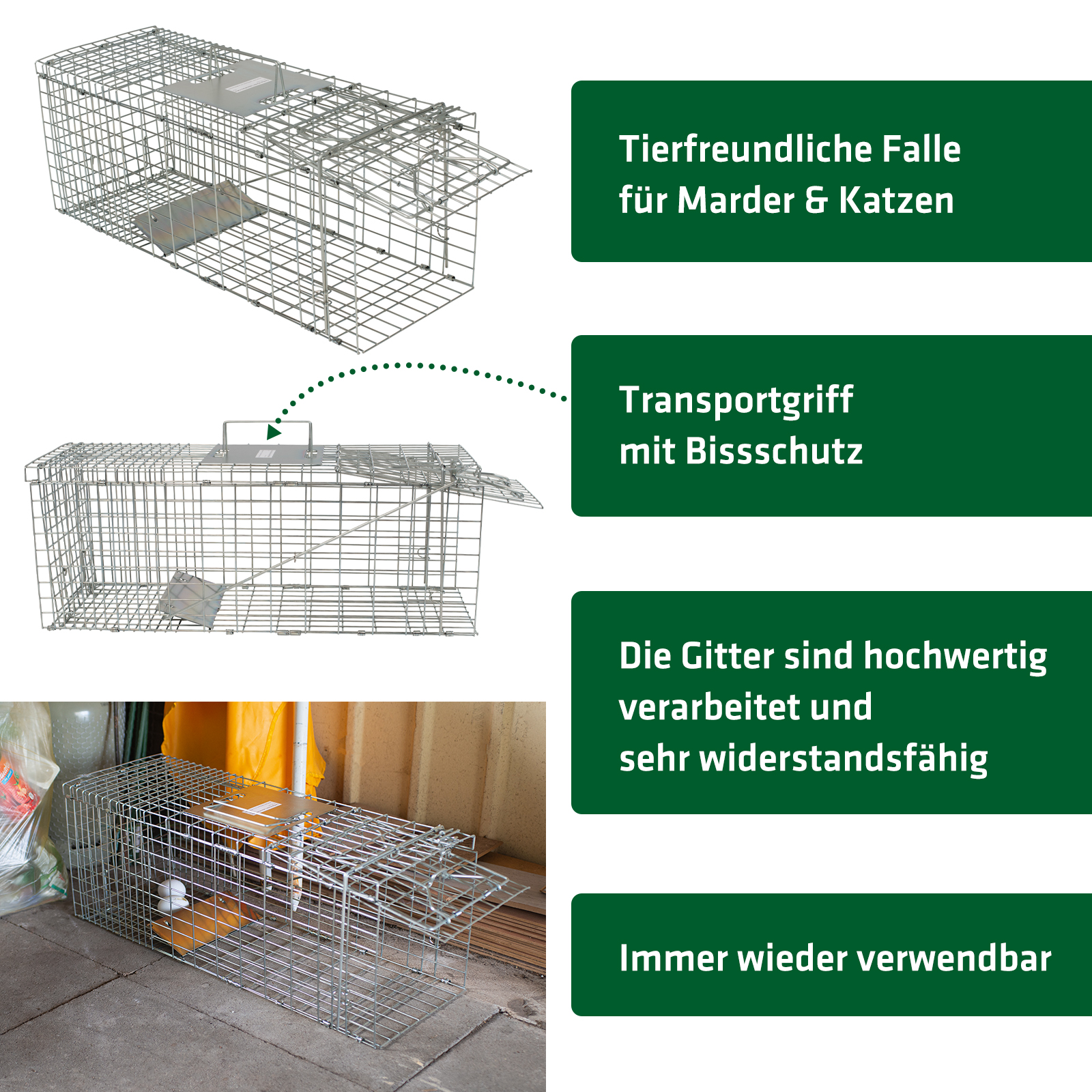 Marten Live Trap