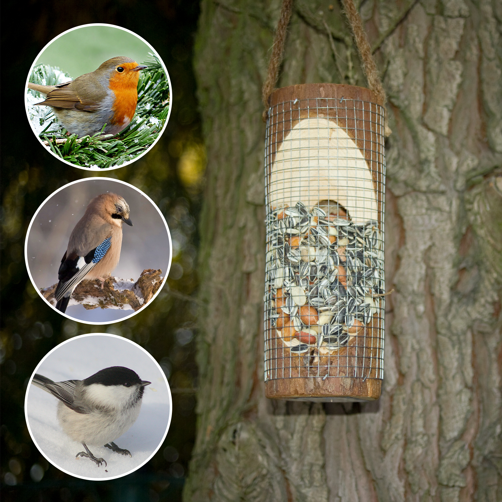 Feeding Station for Birds | bird feeder