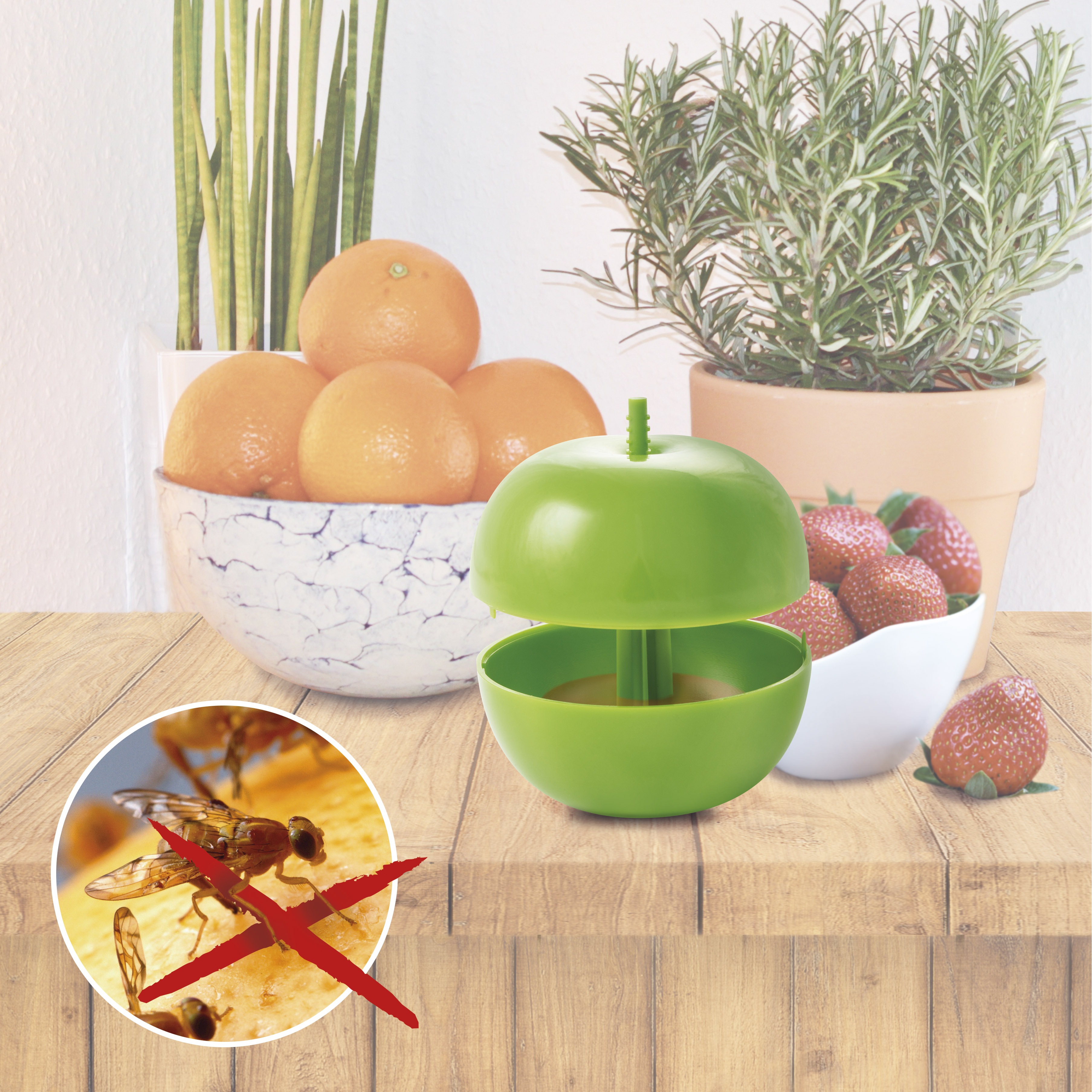 Fruit Fly Trap | apple design | set of 3