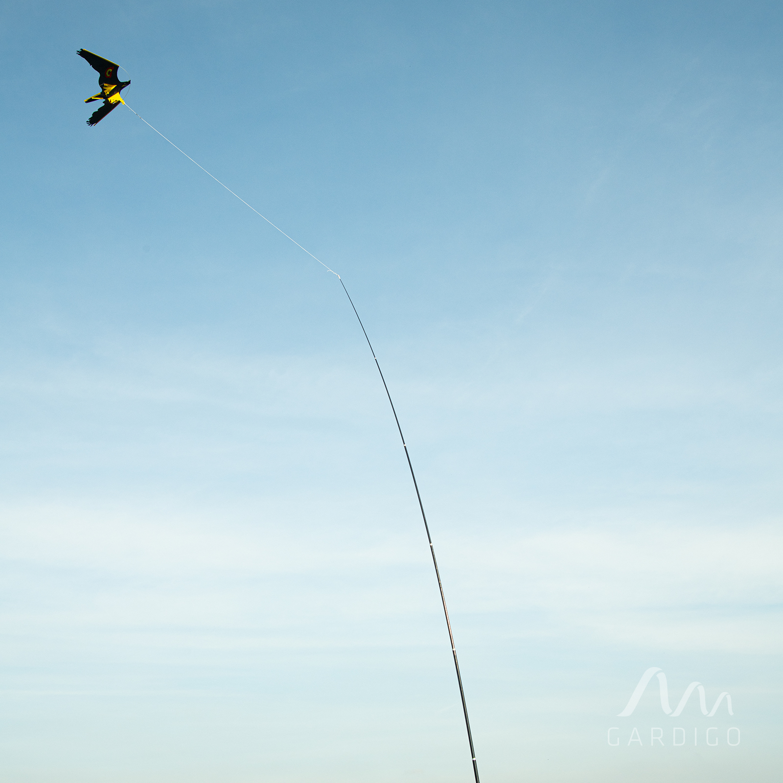 Der Mast ist etwa 9m Lang. Damit fliegt der Drachen ca. 10 m über dem Boden, um kleineren Vögeln Furcht einzuflößen.