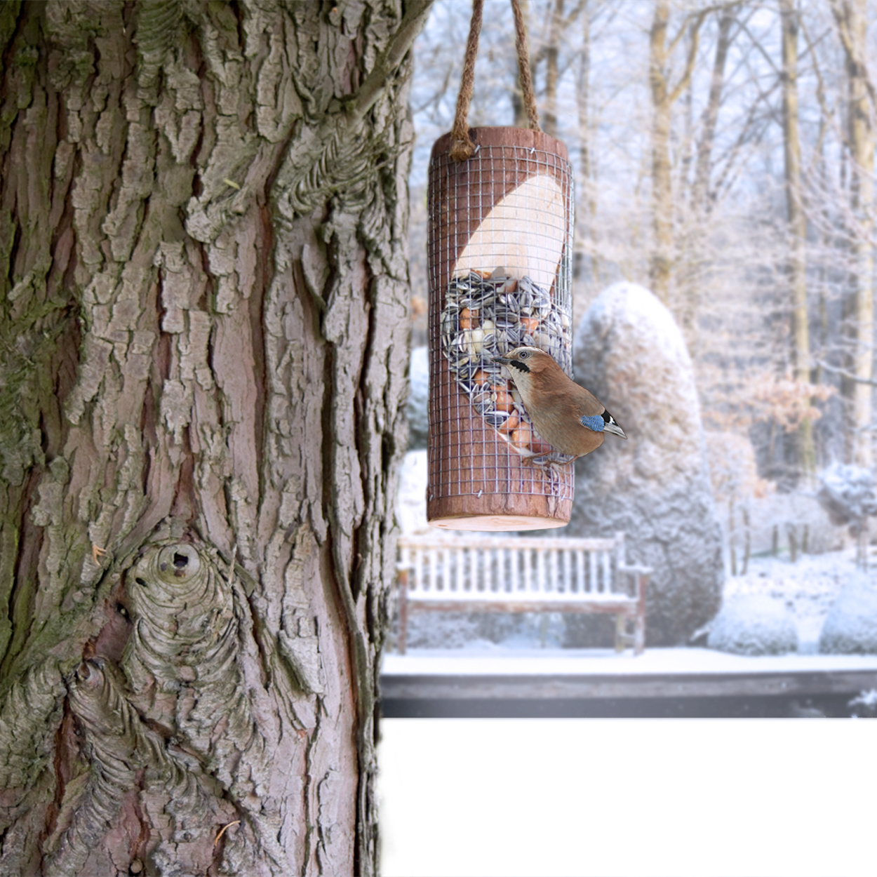 Feeding Station for Birds | bird feeder