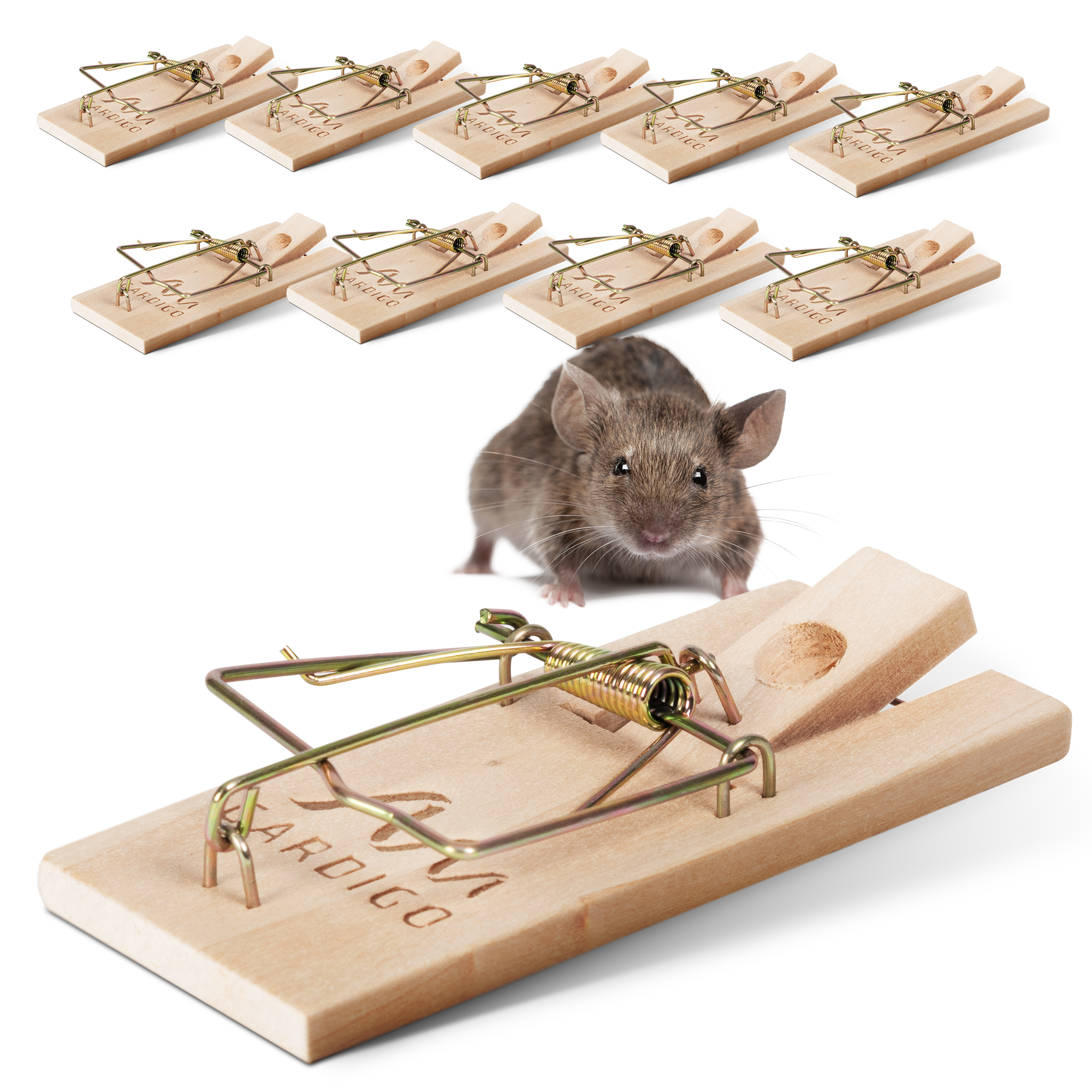 Wooden Mouse Trap | Set of 10 snap traps