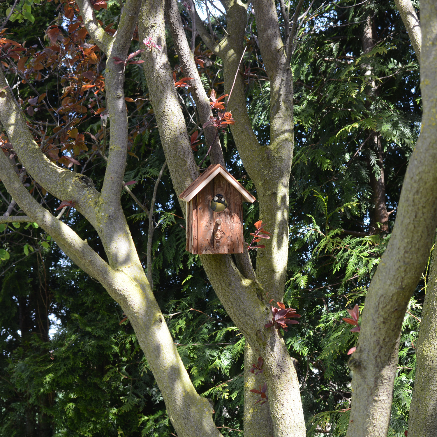 Bird Nesting House “Nature” | wooden nesting box