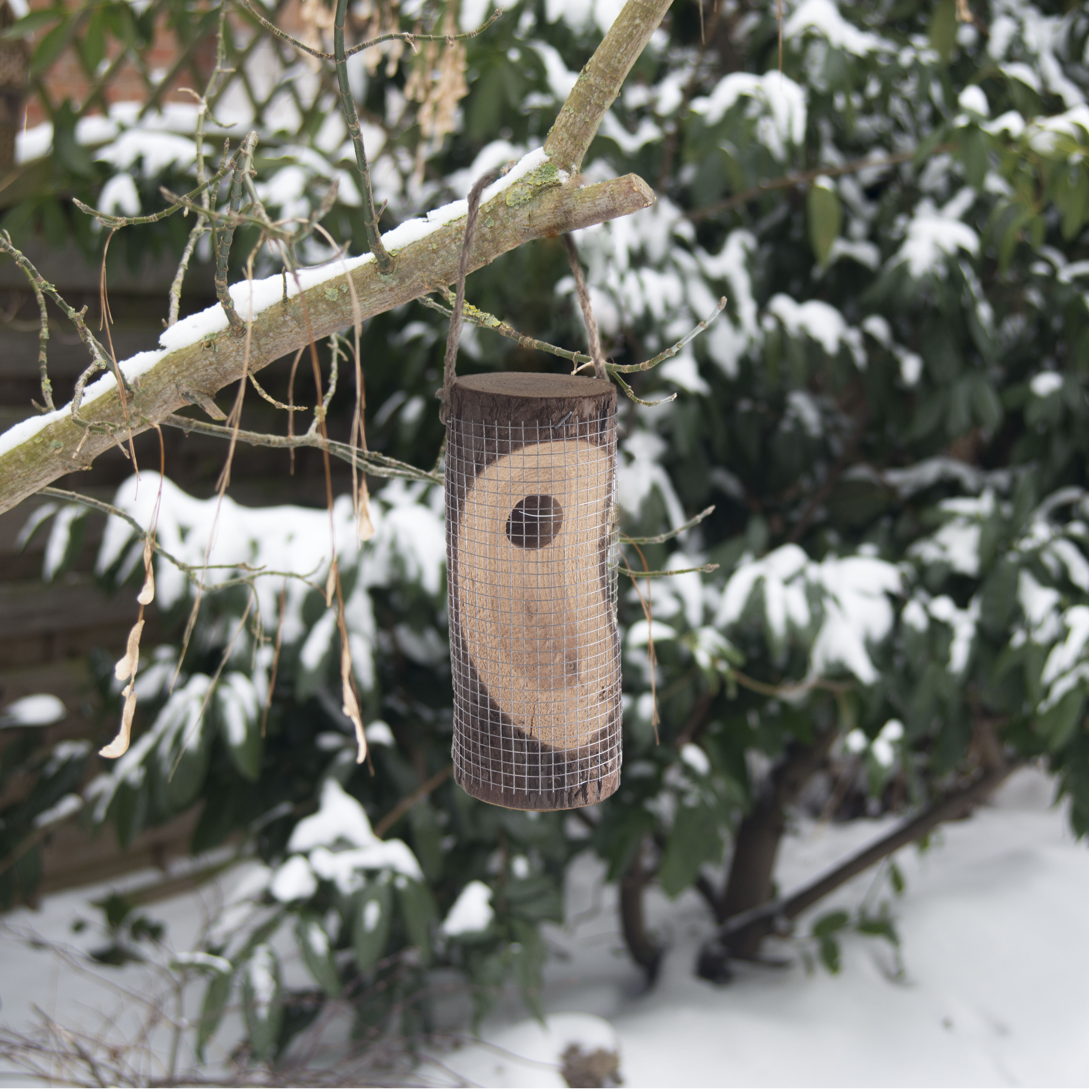 Feeding Station for Birds | bird feeder