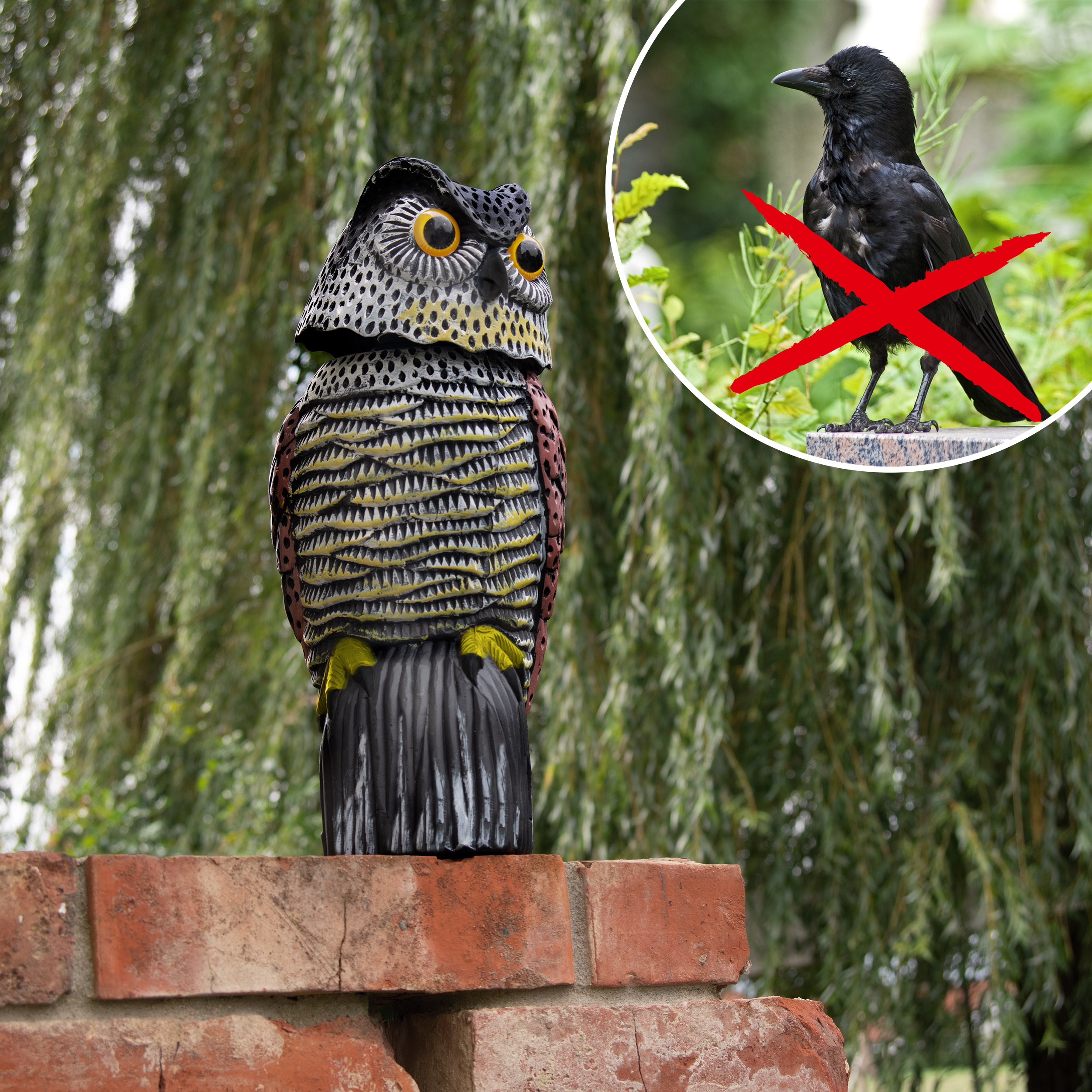 Bird Deterrent Owl 