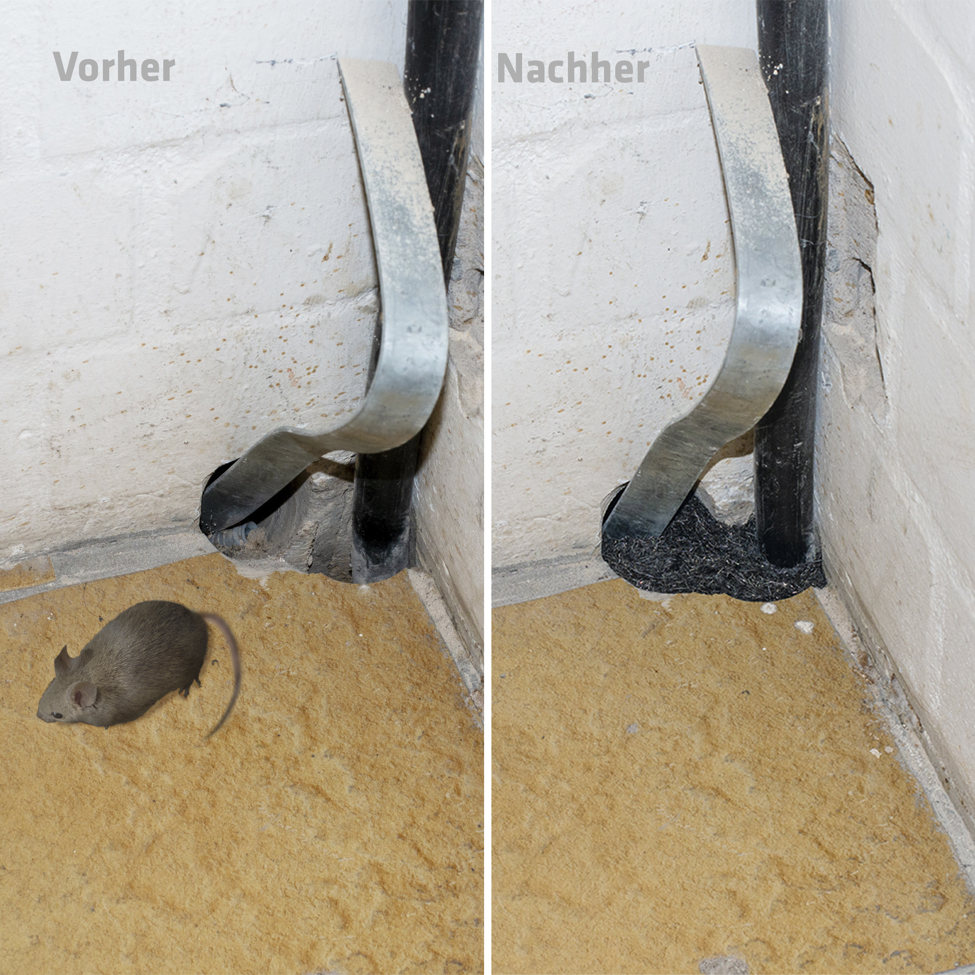 Rodent Barrier, Steel Wool, against mice & rats